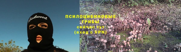 дживик Володарск
