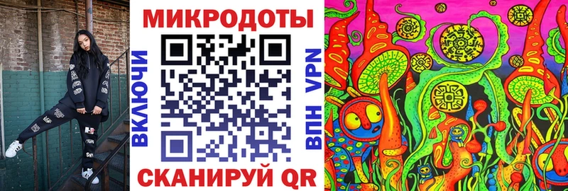 Галлюциногенные грибы Psilocybine cubensis Грозный
